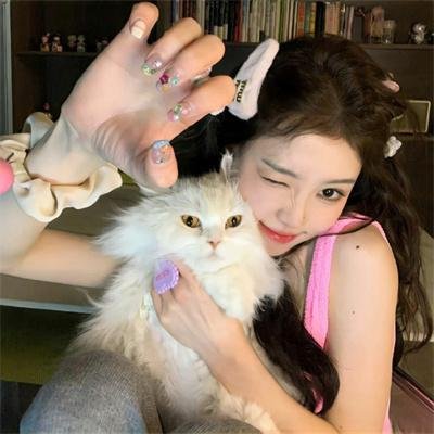 完蛋！朕被奸佞包围了